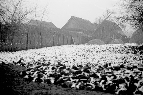 Spaziergang durch ein Dorf (Belarus, November 2000)